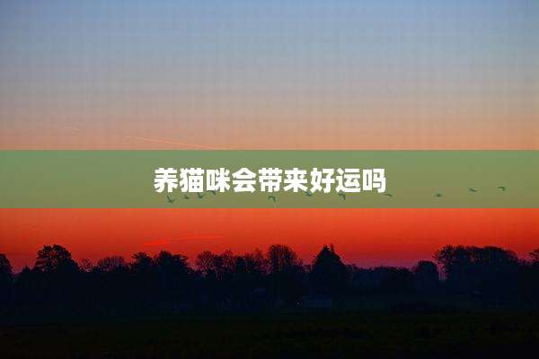 养猫咪会带来好运吗