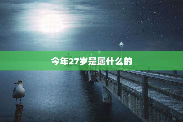 今年27岁是属什么的