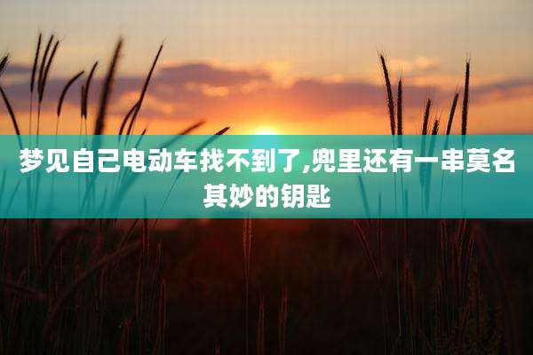 梦见自己电动车找不到了,兜里还有一串莫名其妙的钥匙