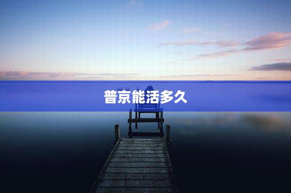 普京能活多久