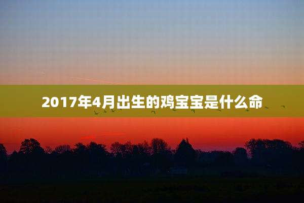 2017年4月出生的鸡宝宝是什么命