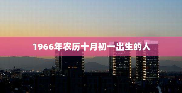 1966年农历十月初一出生的人