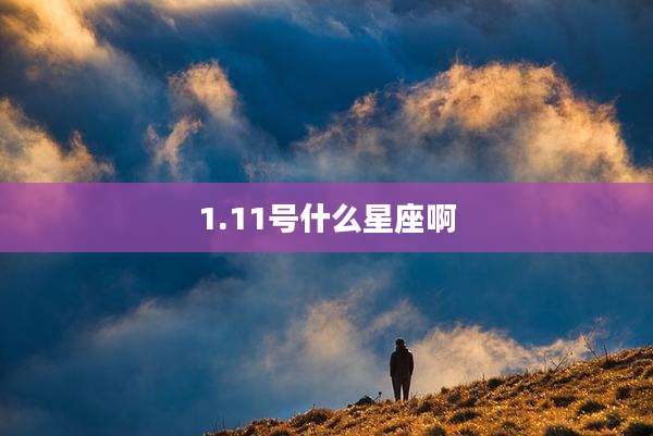 1.11号什么星座啊
