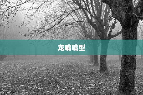 龙嘴嘴型