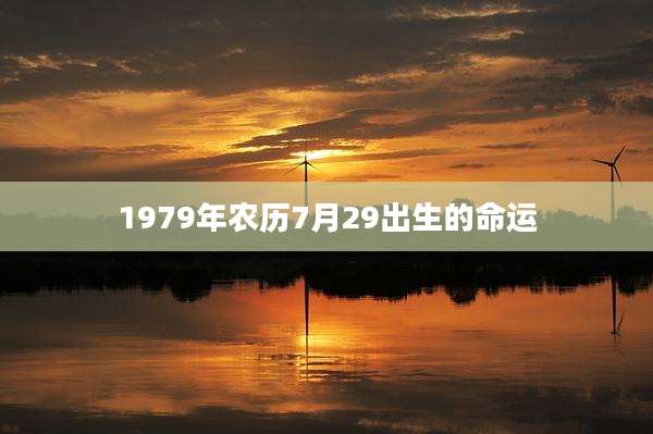 1979年农历7月29出生的命运