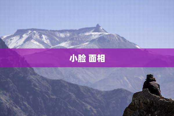 小脸 面相