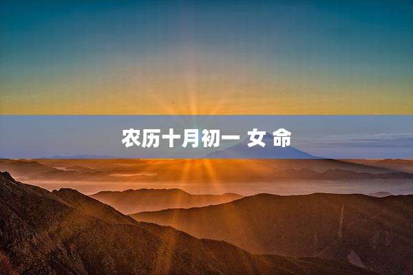 农历十月初一 女 命