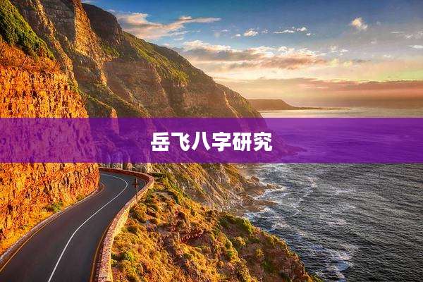 岳飞八字研究