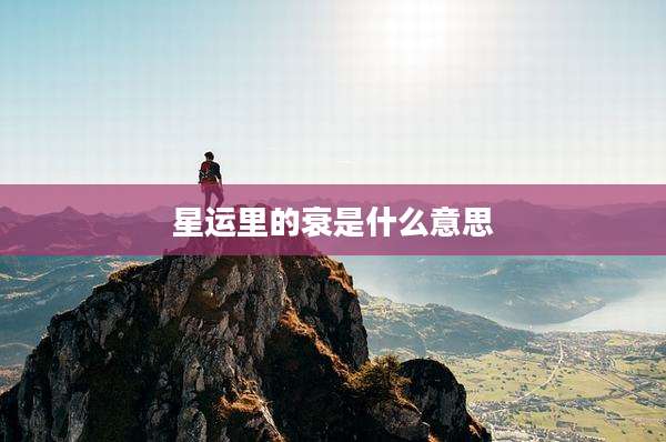星运里的衰是什么意思