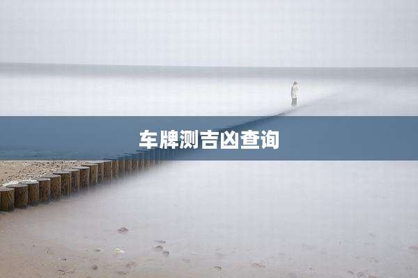 车牌测吉凶查询