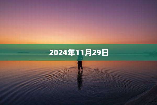 2024年11月29日