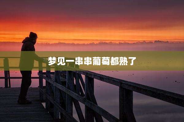 梦见一串串葡萄都熟了
