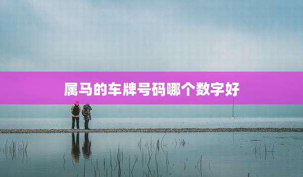属马的车牌号码哪个数字好