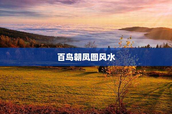 百鸟朝凤图风水