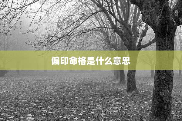 偏印命格是什么意思