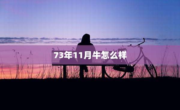 73年11月牛怎么样