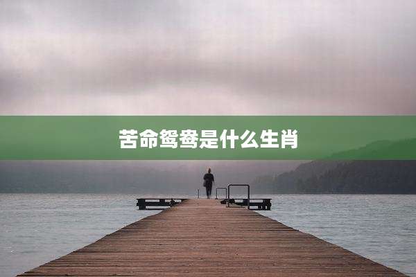 苦命鸳鸯是什么生肖