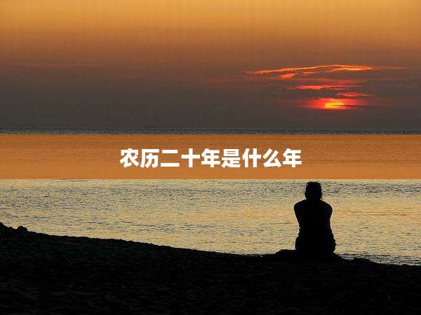 农历二十年是什么年