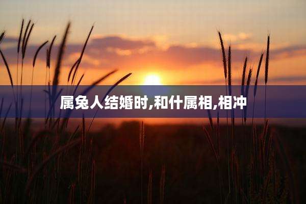 属兔人结婚时,和什属相,相冲