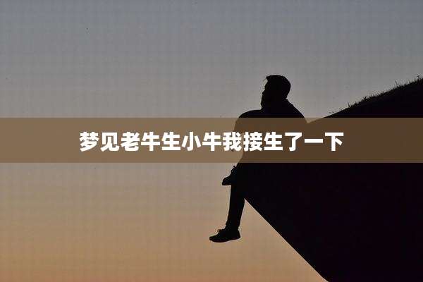 梦见老牛生小牛我接生了一下
