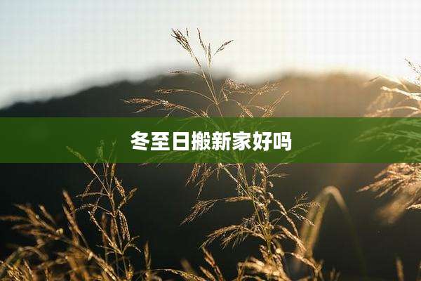 冬至日搬新家好吗