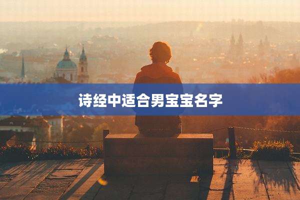 诗经中适合男宝宝名字