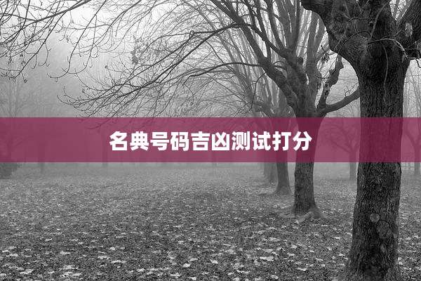 名典号码吉凶测试打分