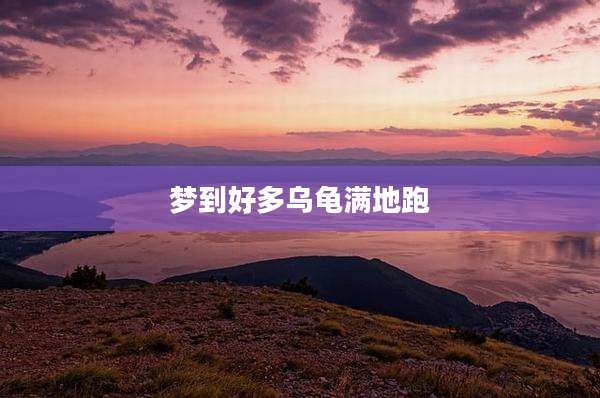 梦到好多乌龟满地跑