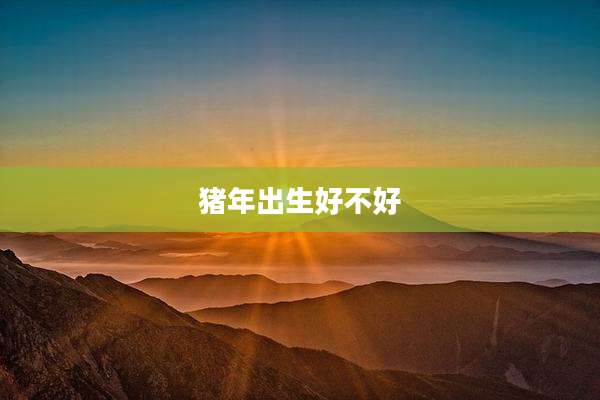 猪年出生好不好