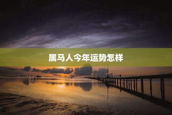 属马人今年运势怎样