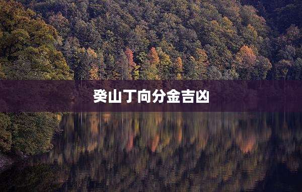 癸山丁向分金吉凶
