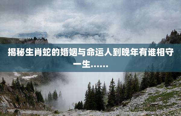 揭秘生肖蛇的婚姻与命运人到晚年有谁相守一生......