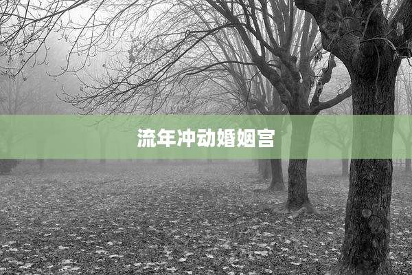 流年冲动婚姻宫