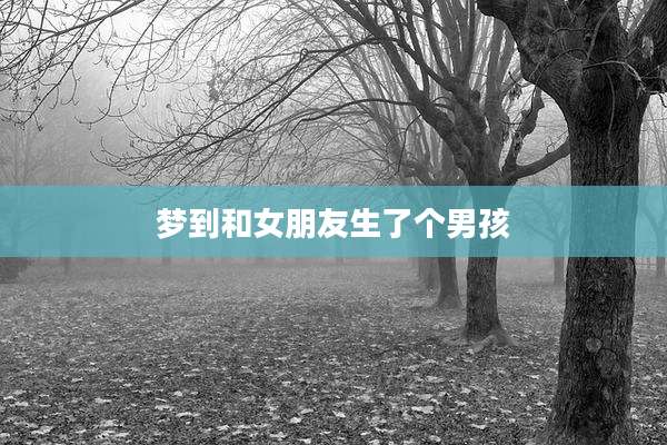 梦到和女朋友生了个男孩