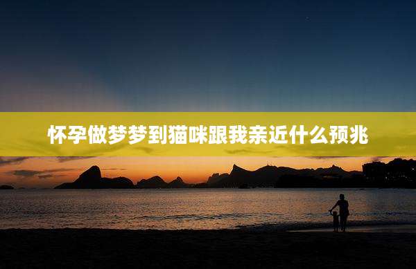 怀孕做梦梦到猫咪跟我亲近什么预兆