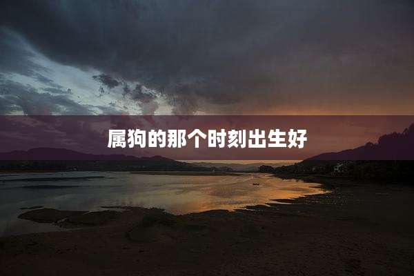 属狗的那个时刻出生好