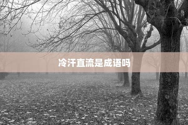 冷汗直流是成语吗