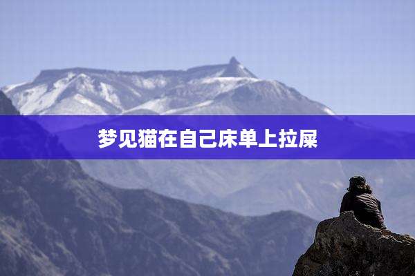 梦见猫在自己床单上拉屎