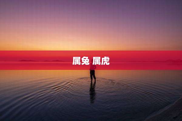 属兔 属虎