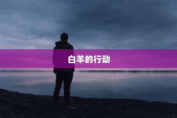 白羊的行动