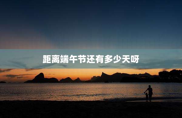 距离端午节还有多少天呀