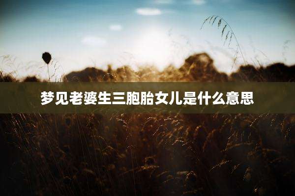 梦见老婆生三胞胎女儿是什么意思