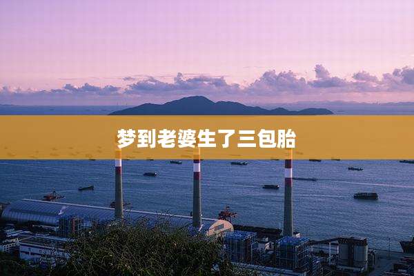 梦到老婆生了三包胎