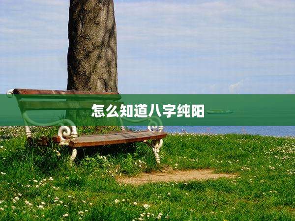 怎么知道八字纯阳