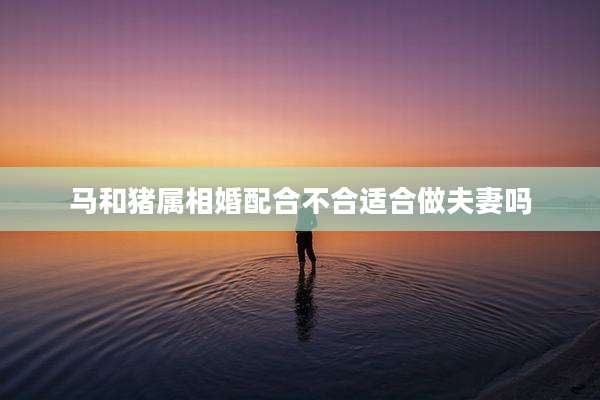 马和猪属相婚配合不合适合做夫妻吗