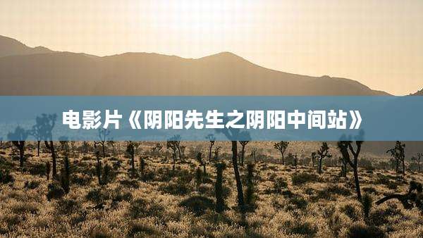 电影片《阴阳先生之阴阳中间站》