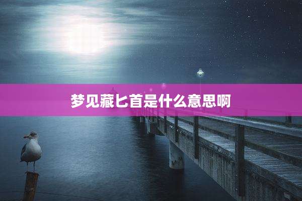 梦见藏匕首是什么意思啊