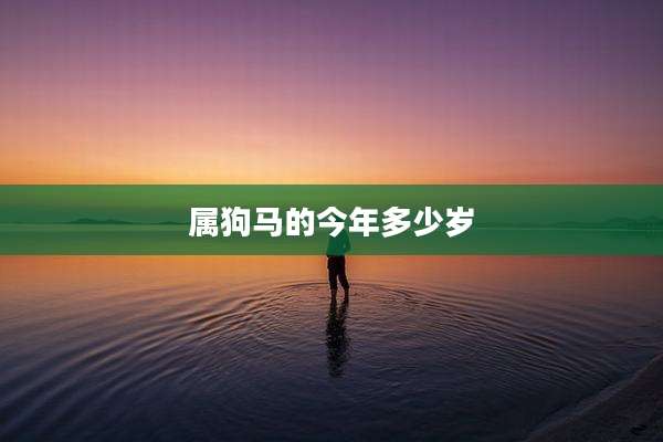 属狗马的今年多少岁