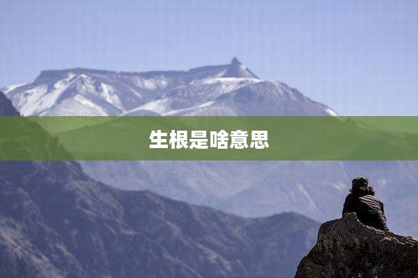 生根是啥意思