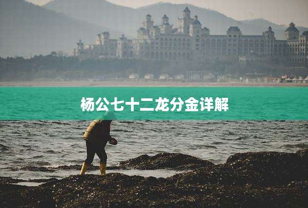 杨公七十二龙分金详解